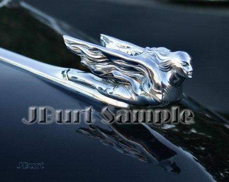 JBURTPHOTOS Original 8x10 Photographic Print of a 1941 Cadillac Car Hood Ornament