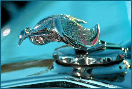 JBURTPHOTOS Original 8x10 Print of Flying Bird 1920s Radiator Cap Hood Ornament