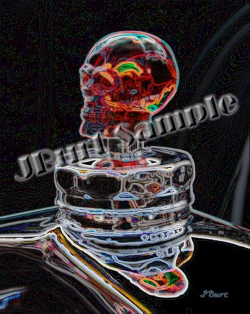 JBURTPHOTOS Original 8x10 Print - Neon Skull Car Hood Ornament