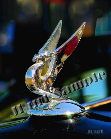 JBURTPHOTOS Original 8x10 Print - Winged Dragon Gryphon Radiator Cap Hood Ornament