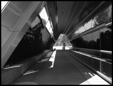 JBURTPHOTOS Original 8x10 B&W Photographic Print Fresno California City Hall Corridor