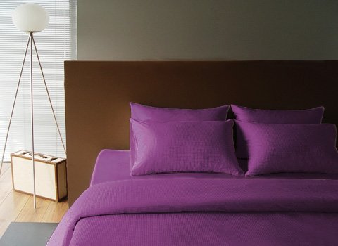 Sleeping beauty (Lavender)