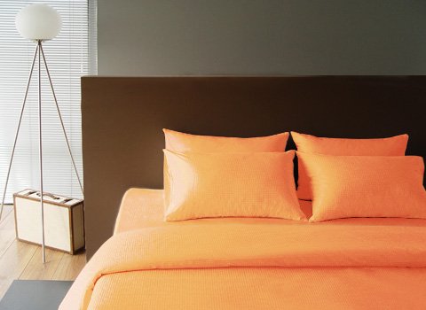 Sleeping beauty (Orange fever)
