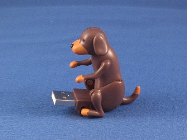 USB Humping Dog - Rottweiler