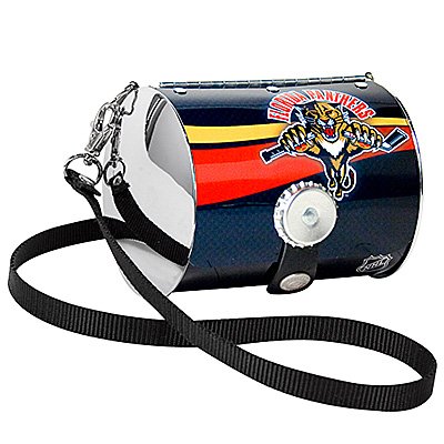 Florida Panthers Littlearth Petite Purse Bag Hockey Gift