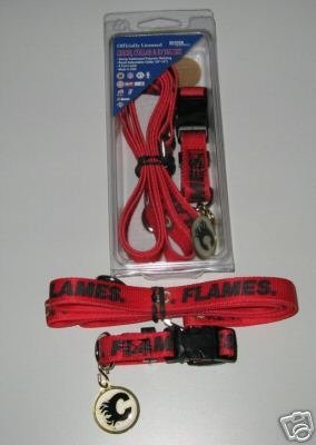 Calgary Flames Pet Set Dog Leash Collar ID Tag Small