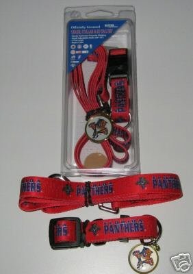 Florida Panthers Pet Dog Leash Set Collar ID Tag Gift Size Large