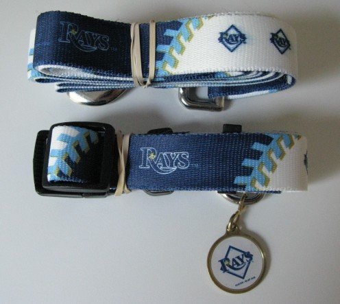 Tampa Bay Devil Rays Pet Dog Leash Set Collar ID Tag Gift Size Large