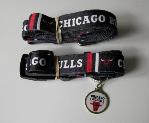 Chicago Bulls Pet Dog Leash Set Collar ID Tag Gift Size Small