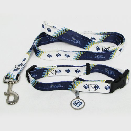 Tampa Bay Rays Pet Dog Leash Set Collar ID Tag Medium