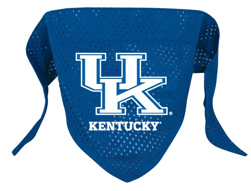 Kentucky University Wildcats Pet Dog Football Jersey Bandana S/M