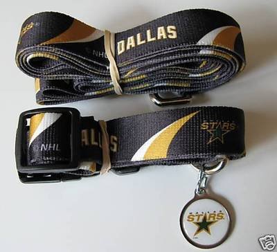Dallas Stars Pet Dog Leash Set Collar ID Tag Gift Size Small