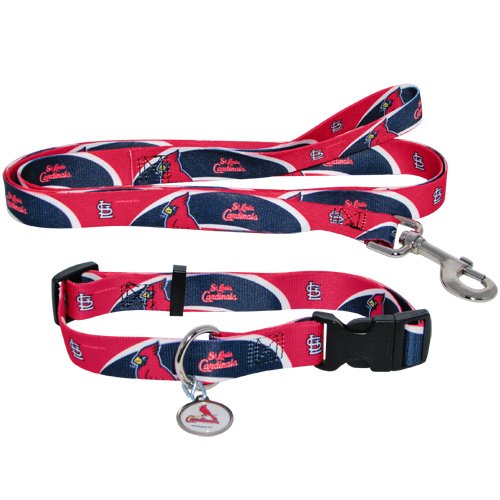 St. Louis Cardinals Pet Dog Leash Set Collar ID Tag Medium
