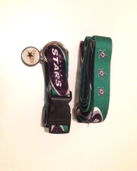 Dallas Stars Pet Dog Leash Set Collar ID Tag Large