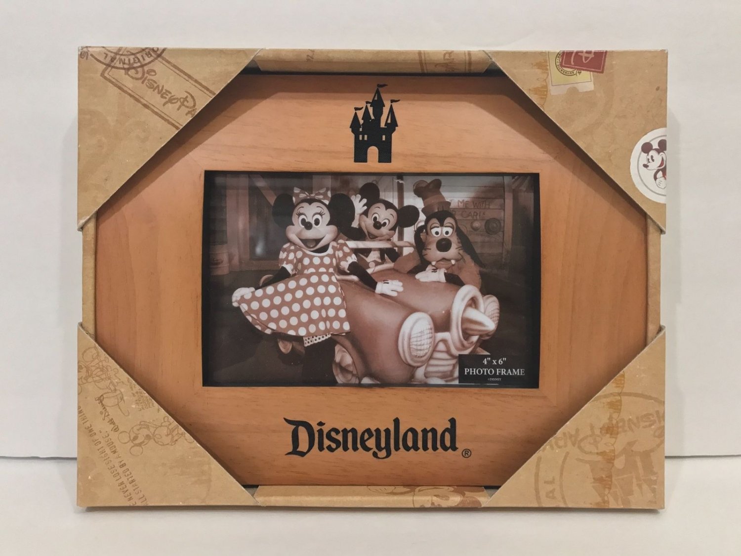 Disney Parks Disneyland Resort Castle Photo Wood Frame New