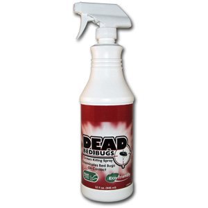 DeadBugs