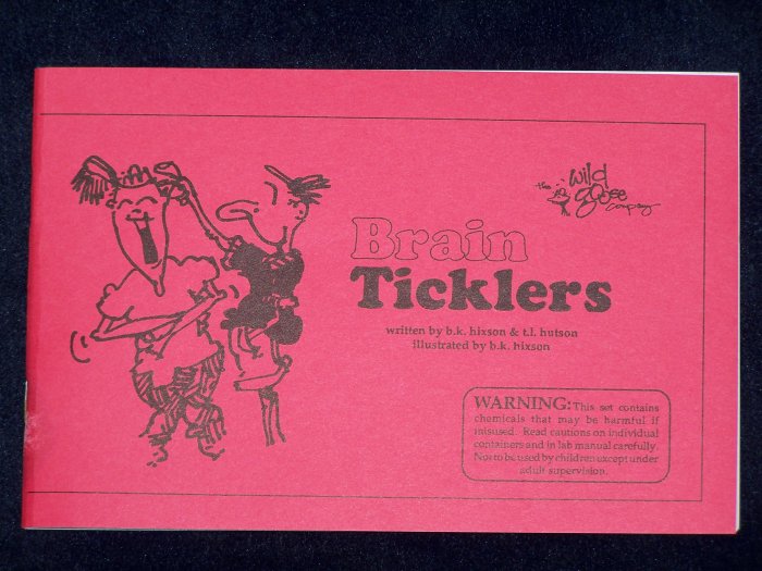 Brain Ticklers from the Wild Goose Co. by b.k. hixson & t.l. hutson