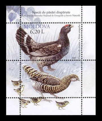 Republic of Moldova Birds souvenir sheet of 2 stamps new 2007 MNH