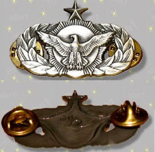 USAF Security Police Senior Qualification Badge, mint