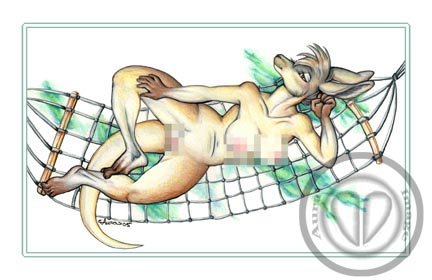 roo hamoc