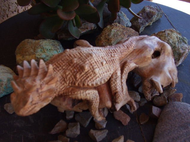 Bearded Dragon