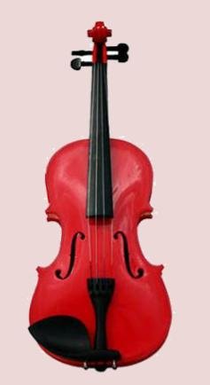 4/4 Violin with Accessories & Case Full Size,
