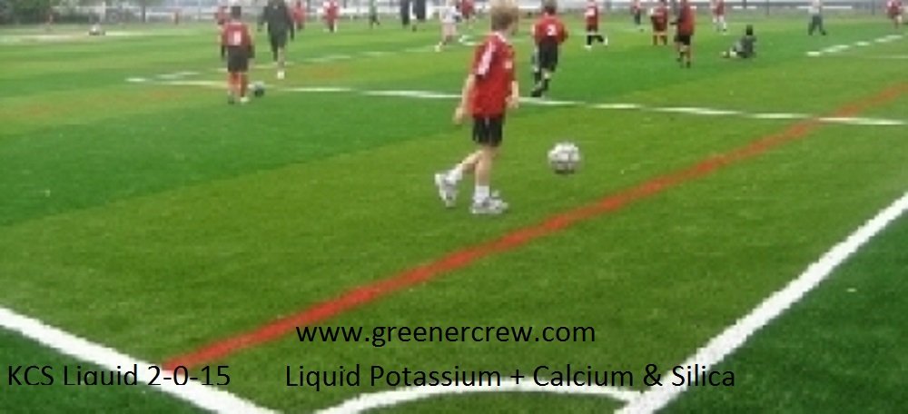 KCS Liquid 2-0-15 Liquid Potassium + Calcium & Silica