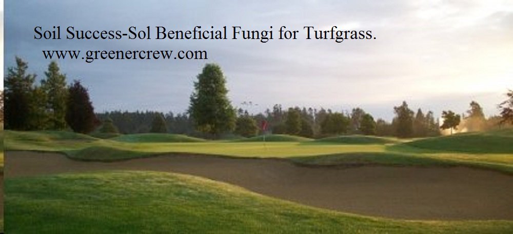 Organic Soil Success-Sol Beneficial Fungi for Turfgrass