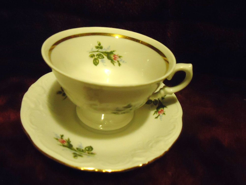 ROYAL KENT POLAND BAVARIAN ROSE TEA CUP & SAUCER .....GREAT CONDITION