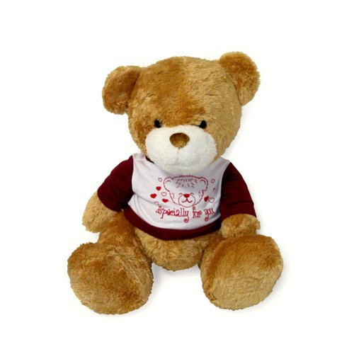 Teddy Bear