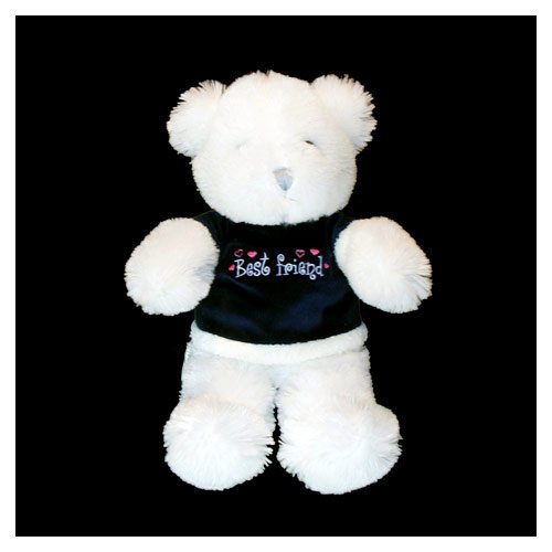 Teddy Bear4