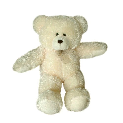 Teddy Bear6