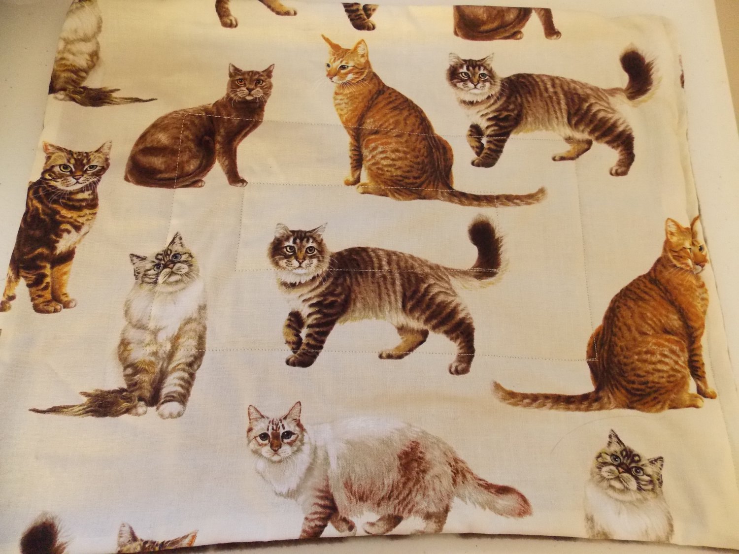 Cat Feeding Mats