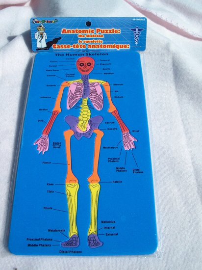 Anatomic Puzzle - The Body - The Skelton