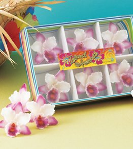 6-pc Orchid Floater Candle Gift Set