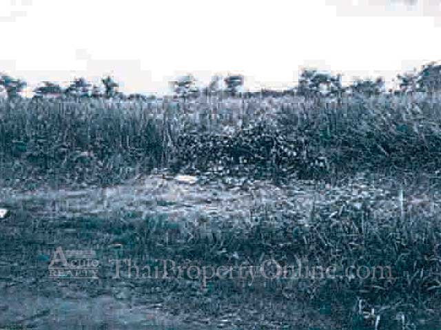 Samutsakorn