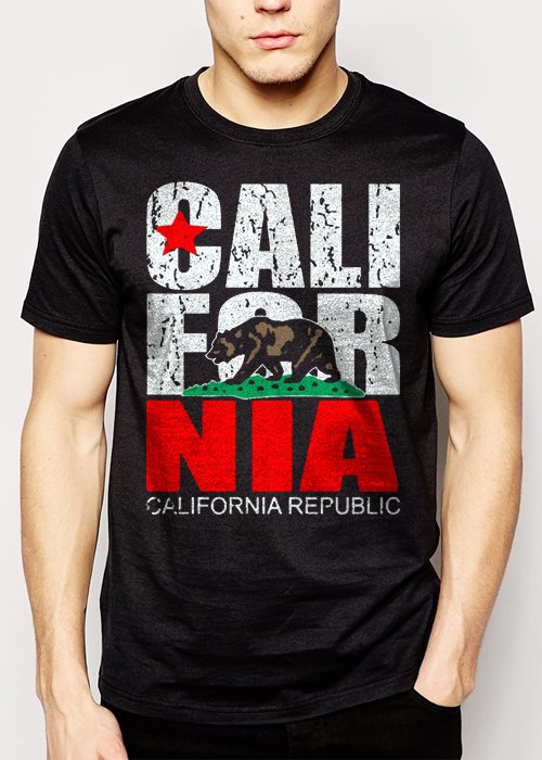 Best Buy California Republic state Bear Flag Men Adult T-Shirt Sz S-2XL