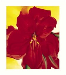 Georgia O'Keeffe Amaryllis Needlepoint Design by Lena Lawson (ok-01)