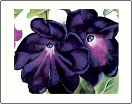 Georgia O'Keeffe Amaryllis Needlepoint Design by Lena Lawson (ok-09)
