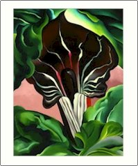 Georgia O'Keeffe Jack in the Pulpit Needlepoint Design by Lena Lawson (ok-27)