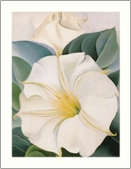 Georgia O'Keeffe Jimson Weed 1 Needlepoint Design by Lena Lawson (ok-29)