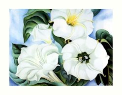 Georgia O'Keeffe Jimson Weed 2 Needlepoint Design by Lena Lawson (ok-30)