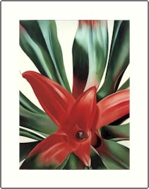 Georgia O'Keeffe Leaves of a Plant Needlepoint Design by Lena Lawson (ok-35)