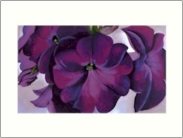 Georgia O'Keeffe Petunias Needlepoint Design by Lena Lawson (ok-45)