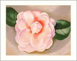 Georgia O'Keeffe Pink Camellia Needlepoint Design by Lena Lawson (ok-47)