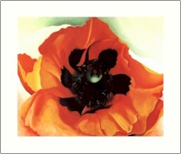 Georgia O'Keeffe Poppy Needlepoint Design by Lena Lawson (ok-50)