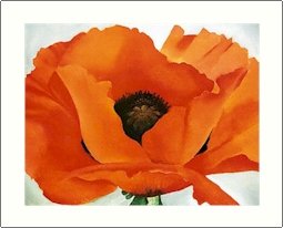 Georgia O'Keeffe Red Poppy Needlepoint Design by Lena Lawson (ok-59)