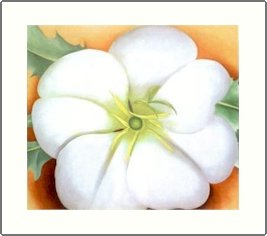 Georgia O'Keeffe White Flower on Red Earth Needlepoint Design by Lena Lawson (ok-71)