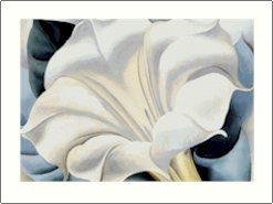 Georgia O'Keeffe White Trumpet Needlepoint Design by Lena Lawson (ok-72)