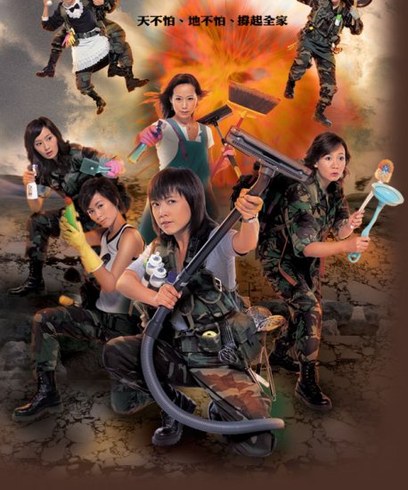 Đoàn Binh Nội Trợ 2007 (The Family Link)